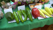 Okresná výstava ovocia a zeleniny_9