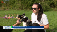 V Dog Pulleri si vyskákali 5.miesto