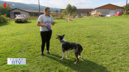V Dog Pulleri si vyskákali 5.miesto