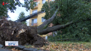 Spadnutá lipa poškodila bytový dom