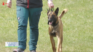 1. ročník súťaže Rally Obedience v Mokroluhu