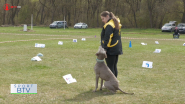 1. ročník súťaže Rally Obedience v Mokroluhu
