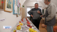 Jablkom roka 2026 sa stala Baya Marysa
