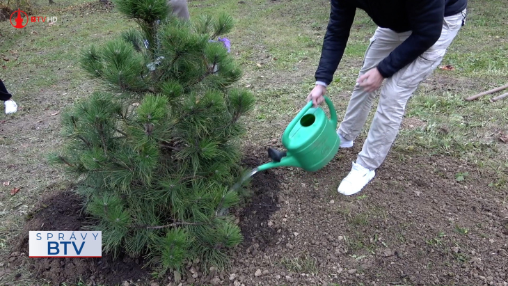 Park Filantropov opäť ožil výsadbou stromov