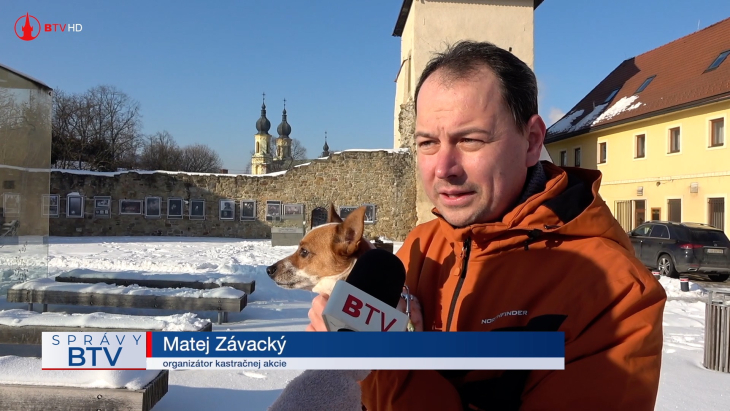 Bezplatná kastrácia mačiek na východe Slovenska