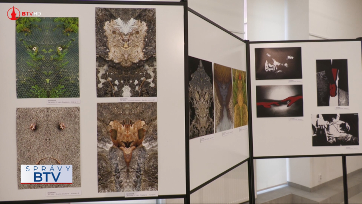 Galéria HOS hostí výstavu AMFO 2026