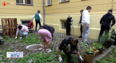 Upracme si školu  - študenti SSOŠ v akcii